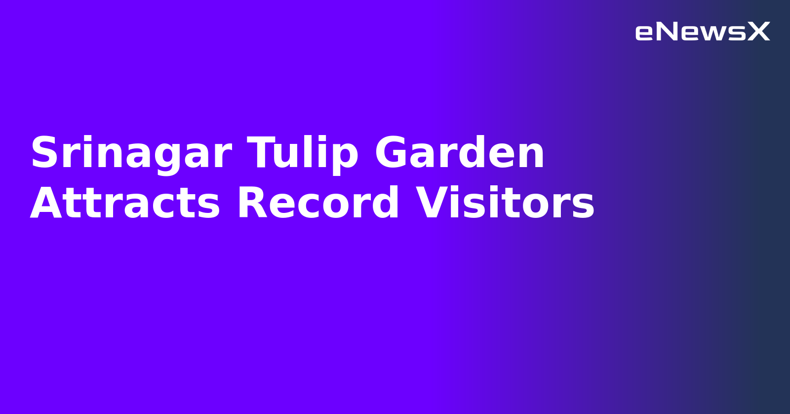 Srinagar Tulip Garden Attracts Record Visitors.webp