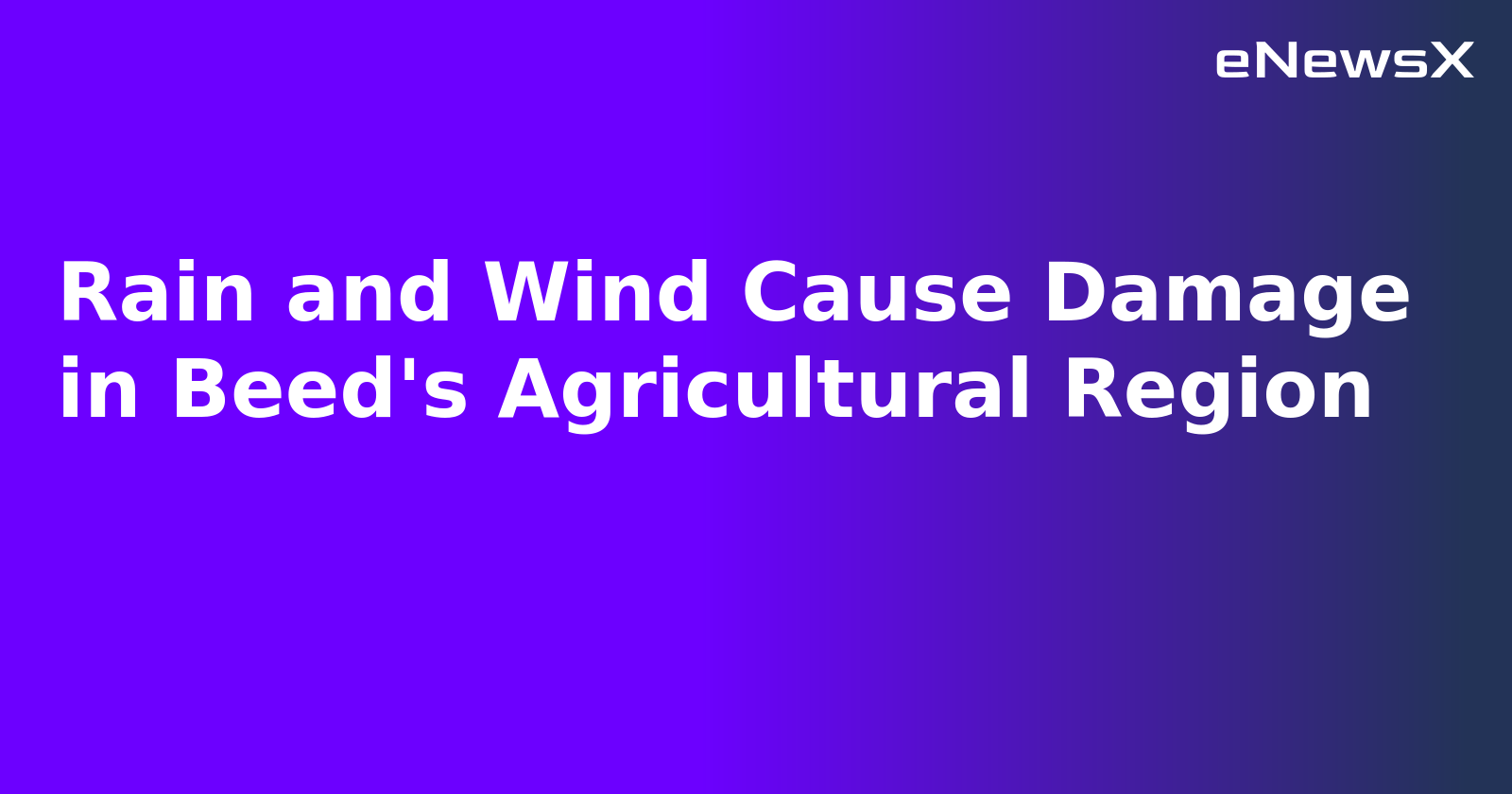 Rain and Wind Cause Damage in Beed's Agricultural Region.webp