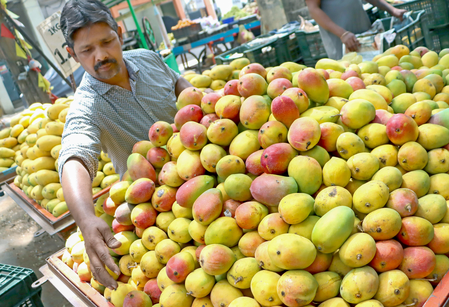 Hyderabad Police Monitor Chemically Ripened Mango Sales.webp