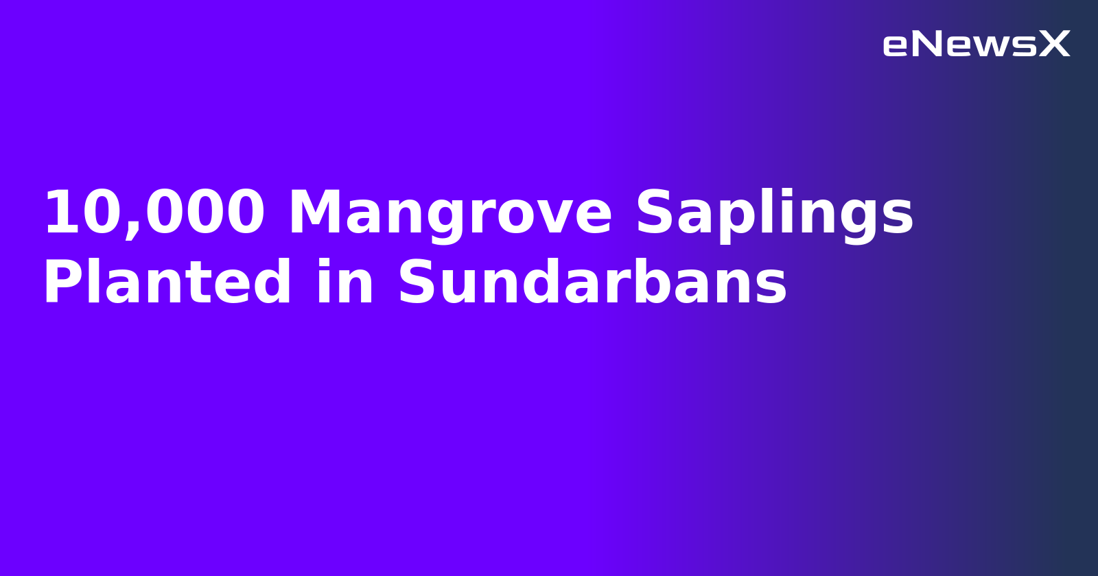 10,000 Mangrove Saplings Planted in Sundarbans.webp 10,000 Mangrove Saplings Planted in Sundarbans.webp