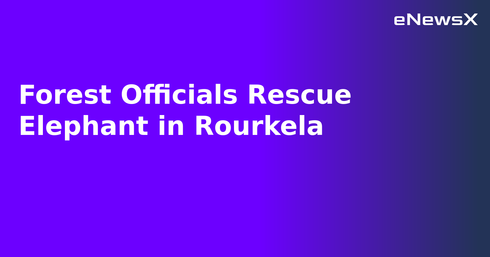 Forest Officials Rescue Elephant in Rourkela.webp