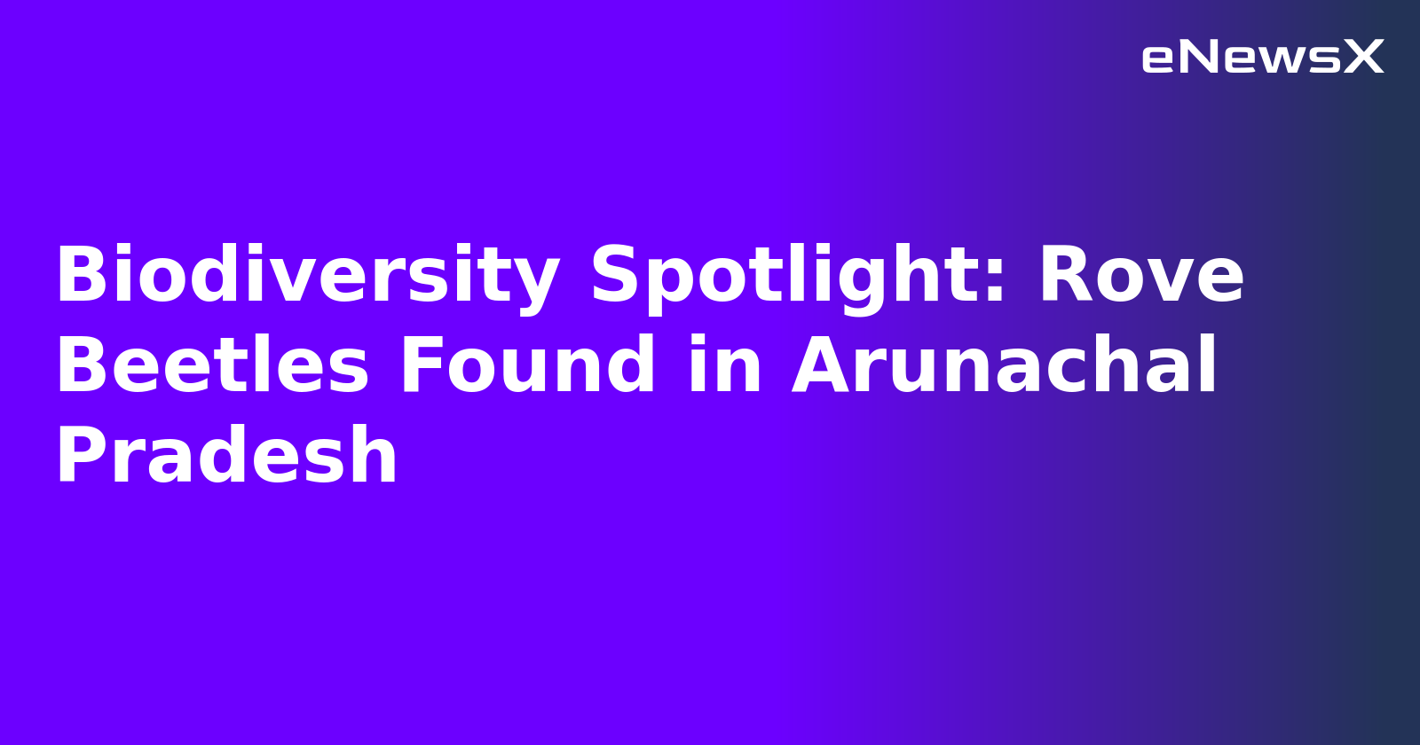 Biodiversity Spotlight: Rove Beetles Found in Arunachal Pradesh.webp Biodiversity Spotlight: Rove Beetles Found in Arunachal Pradesh.webp