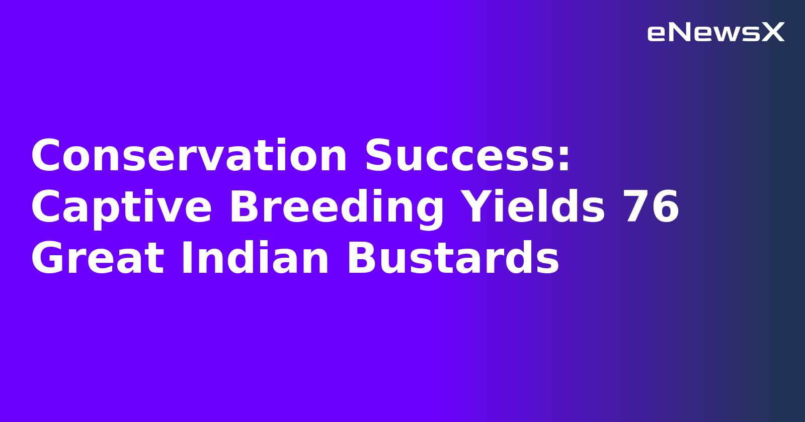 Conservation Success: Captive Breeding Yields 76 Great Indian Bustards.webp Conservation Success: Captive Breeding Yields 76 Great Indian Bustards.webp