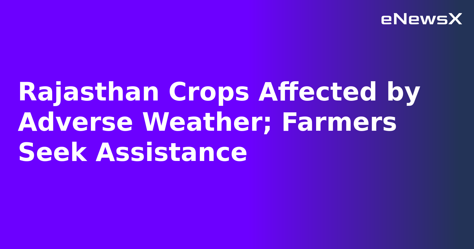 Rajasthan Crops Affected by Adverse Weather; Farmers Seek Assistance.webp