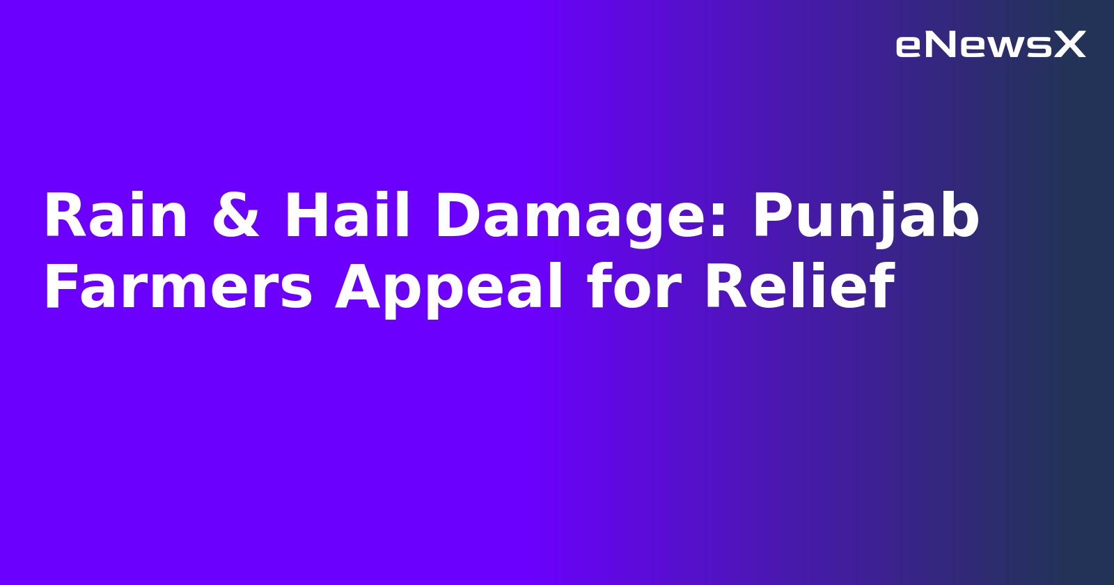 Rain & Hail Damage: Punjab Farmers Appeal for Relief