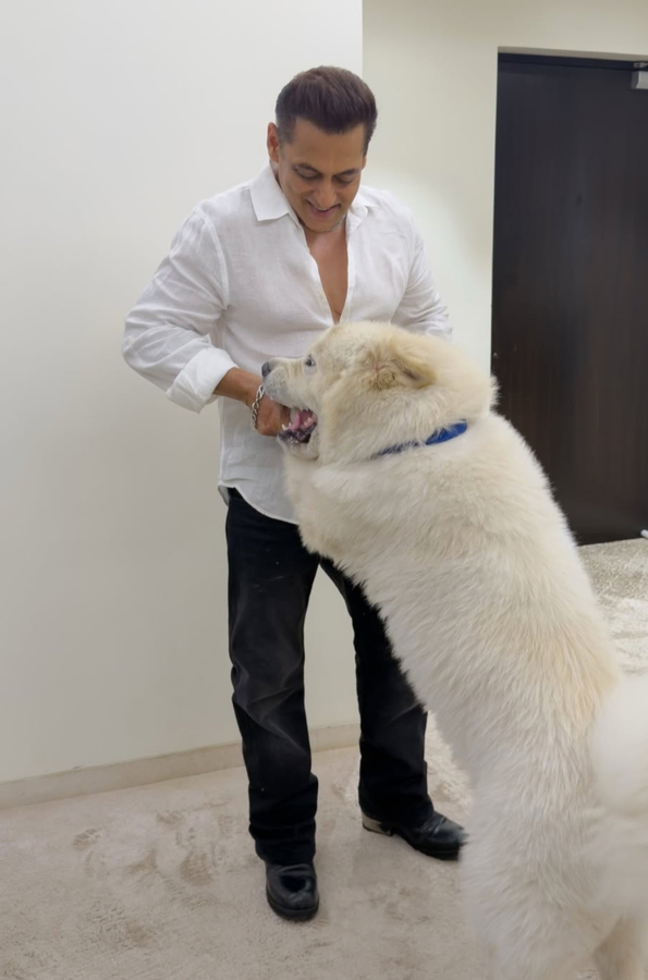 Salman Khan Captures Playful Time with Canine Companion.webp