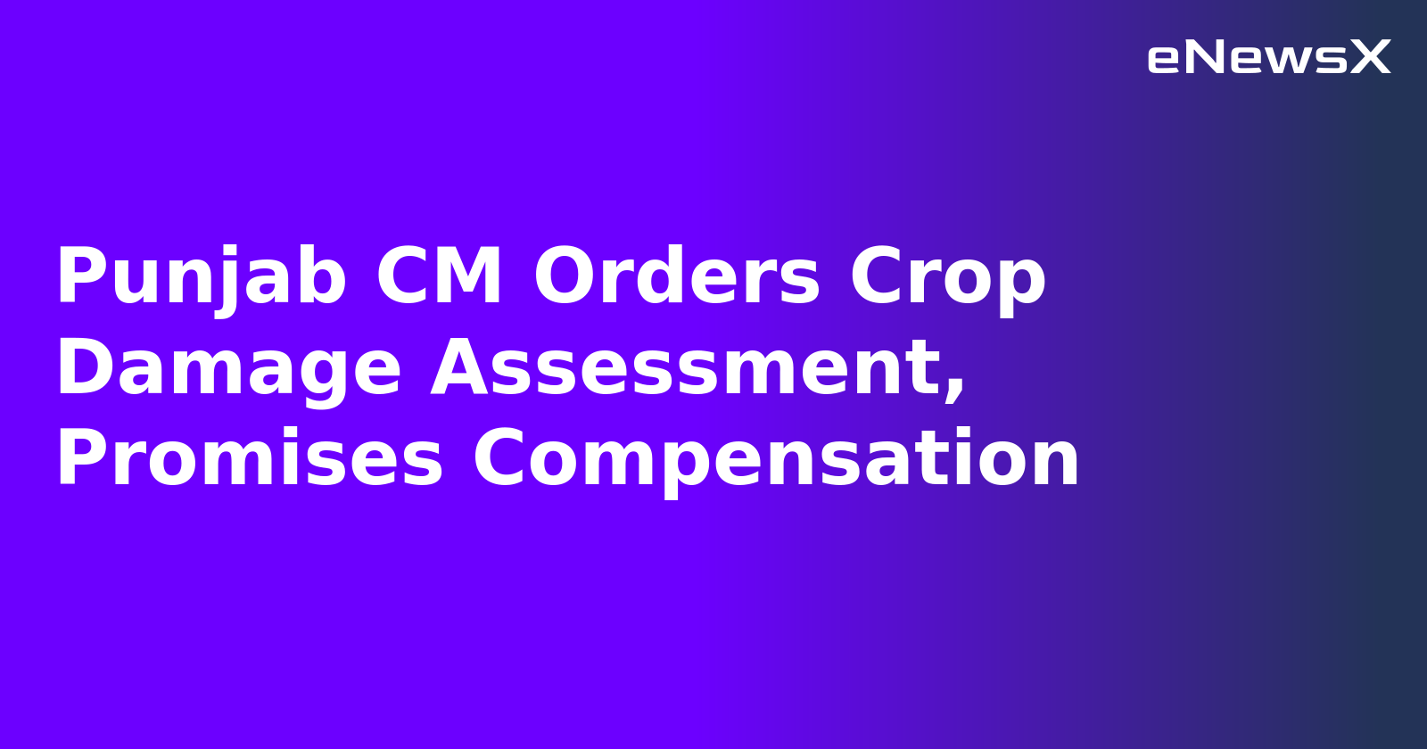 Punjab CM Orders Crop Damage Assessment, Promises Compensation.webp