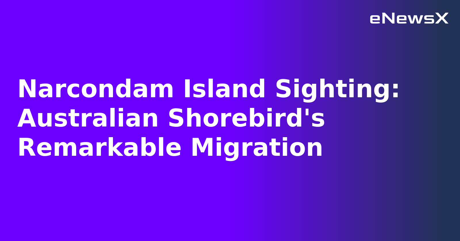 Narcondam Island Sighting: Australian Shorebird's Remarkable Migration.webp