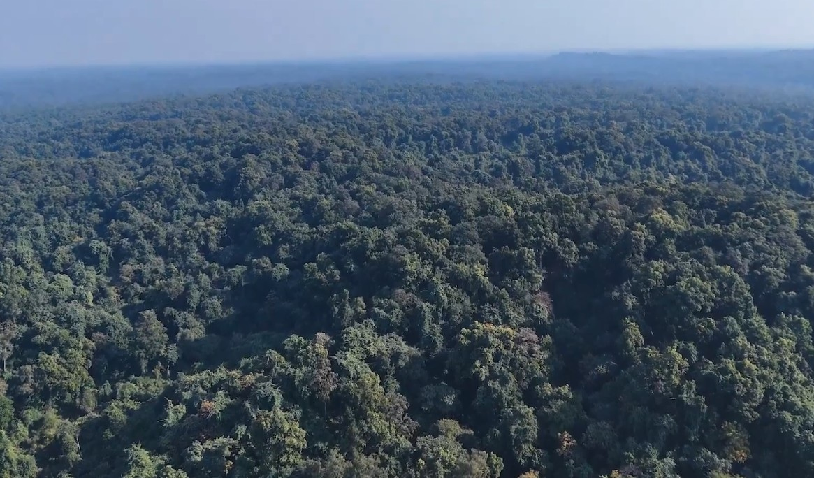 India's Green Pathway: Expanding Protected Areas and Renewable Energy.webp India's Green Pathway: Expanding Protected Areas and Renewable Energy.webp