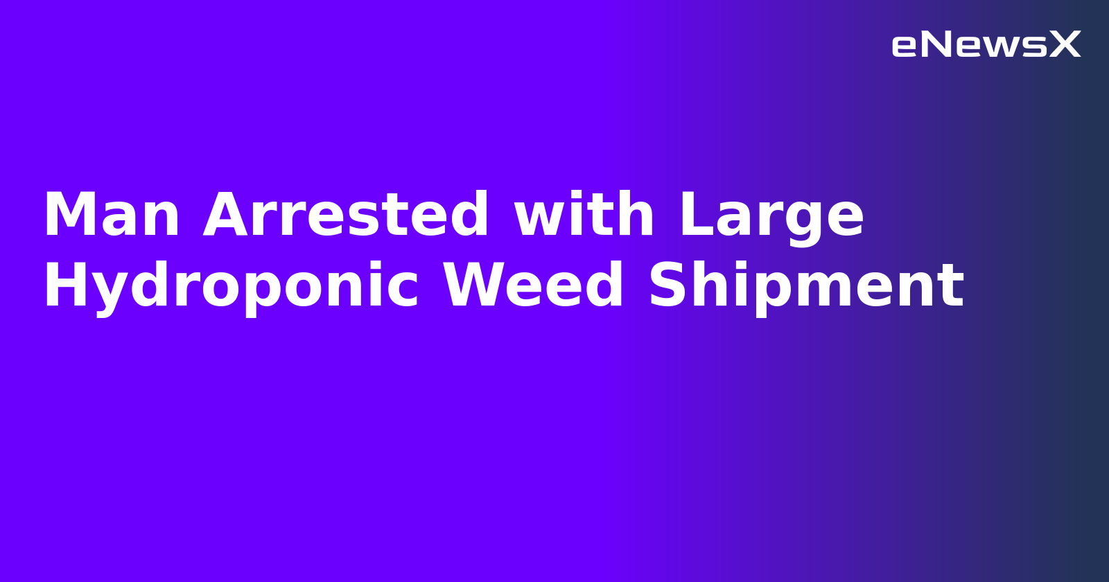Man Arrested with Large Hydroponic Weed Shipment.webp Man Arrested with Large Hydroponic Weed Shipment.webp