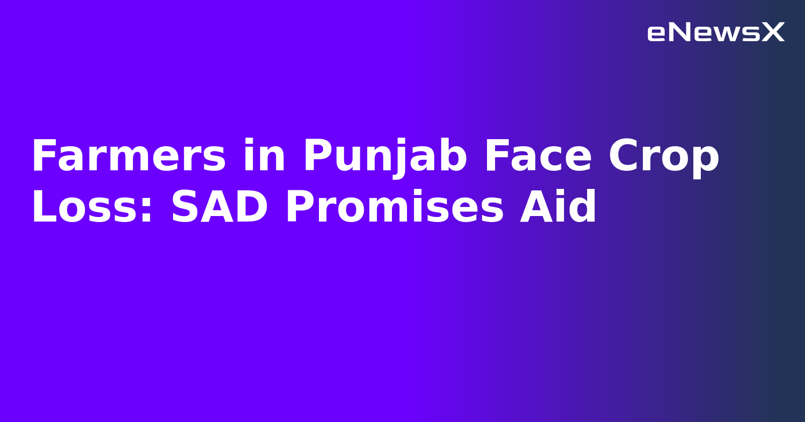 Farmers in Punjab Face Crop Loss: SAD Promises Aid.webp