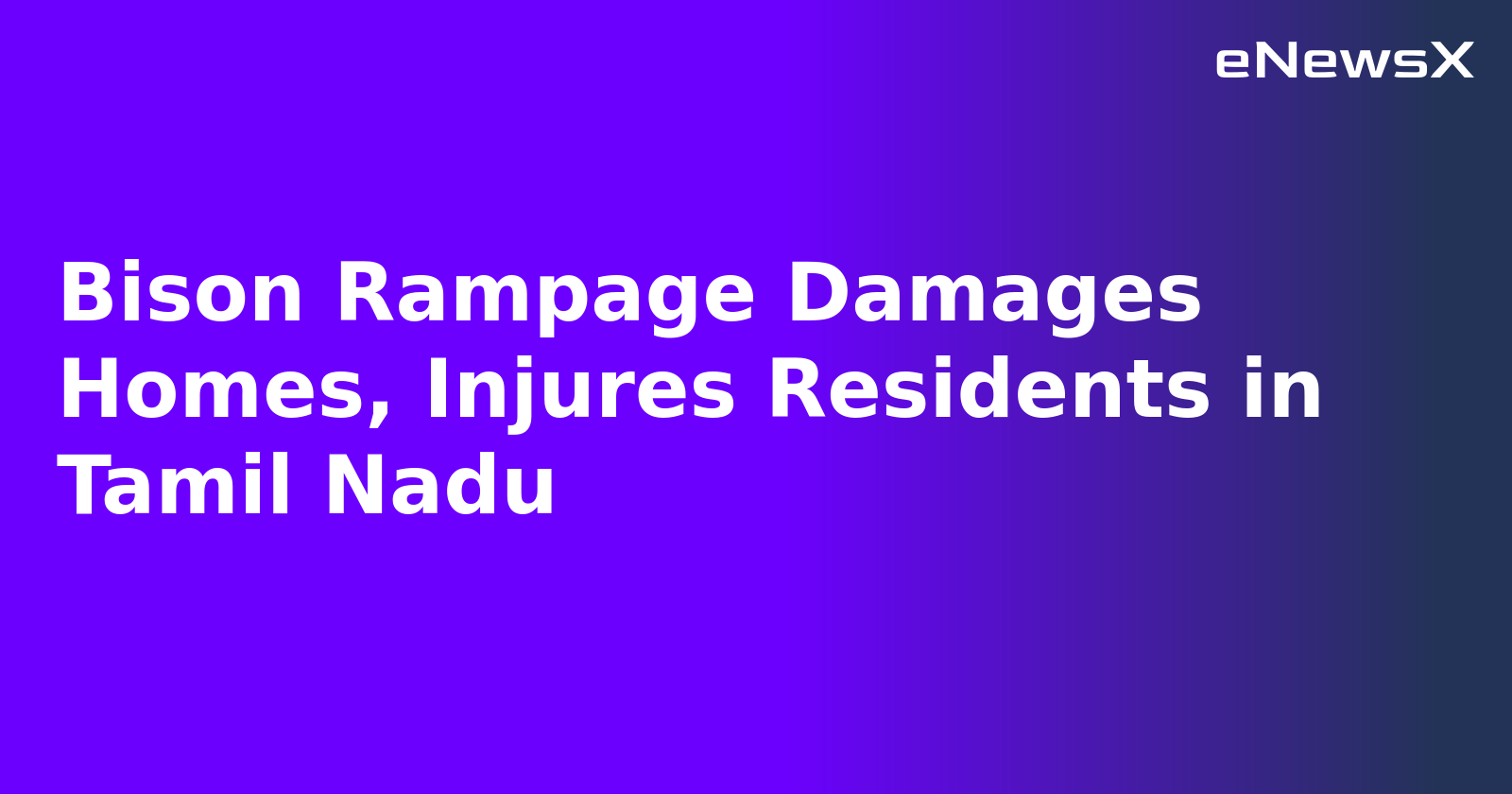 Bison Rampage Damages Homes, Injures Residents in Tamil Nadu.webp