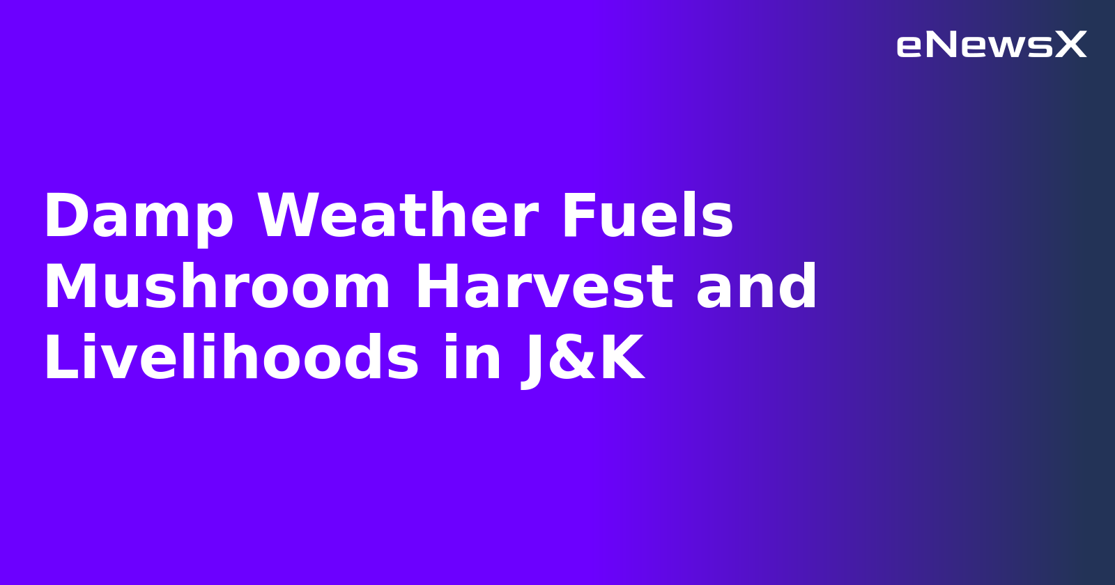 Damp Weather Fuels Mushroom Harvest and Livelihoods in J&K.webp