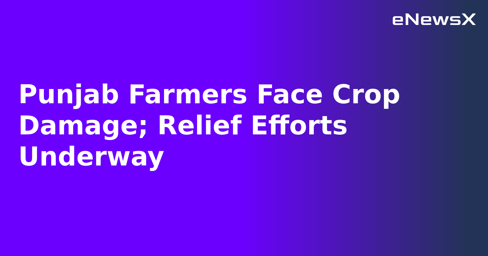 Punjab Farmers Face Crop Damage; Relief Efforts Underway.webp