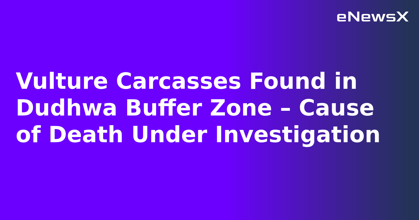 Vulture Carcasses Found in Dudhwa Buffer Zone – Cause of Death Under Investigation.webp Vulture Carcasses Found in Dudhwa Buffer Zone – Cause of Death Under Investigation.webp