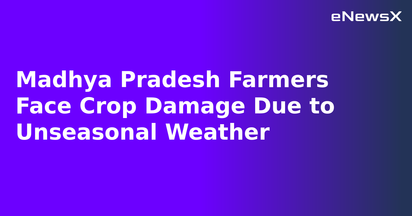 Madhya Pradesh Farmers Face Crop Damage Due to Unseasonal Weather.webp