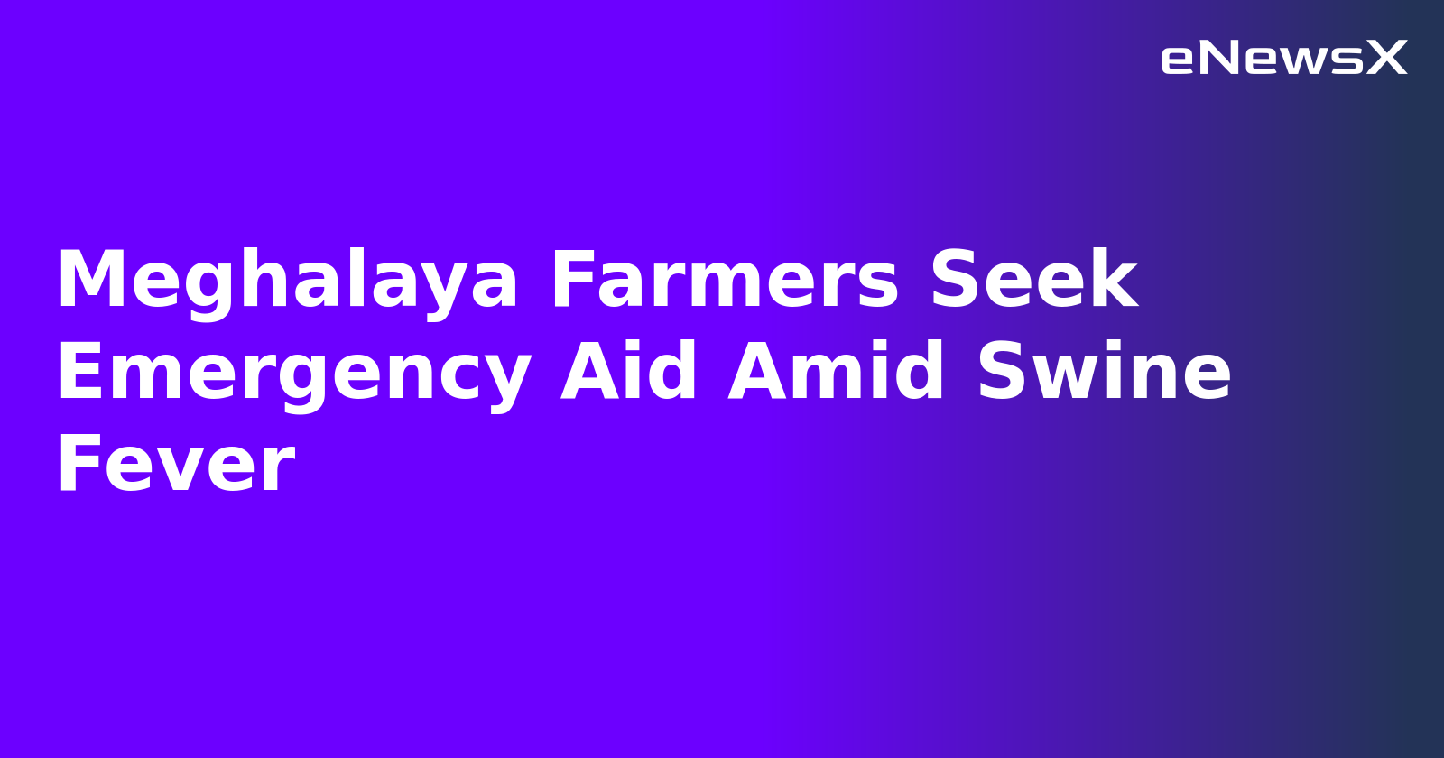 Meghalaya Farmers Seek Emergency Aid Amid Swine Fever.webp