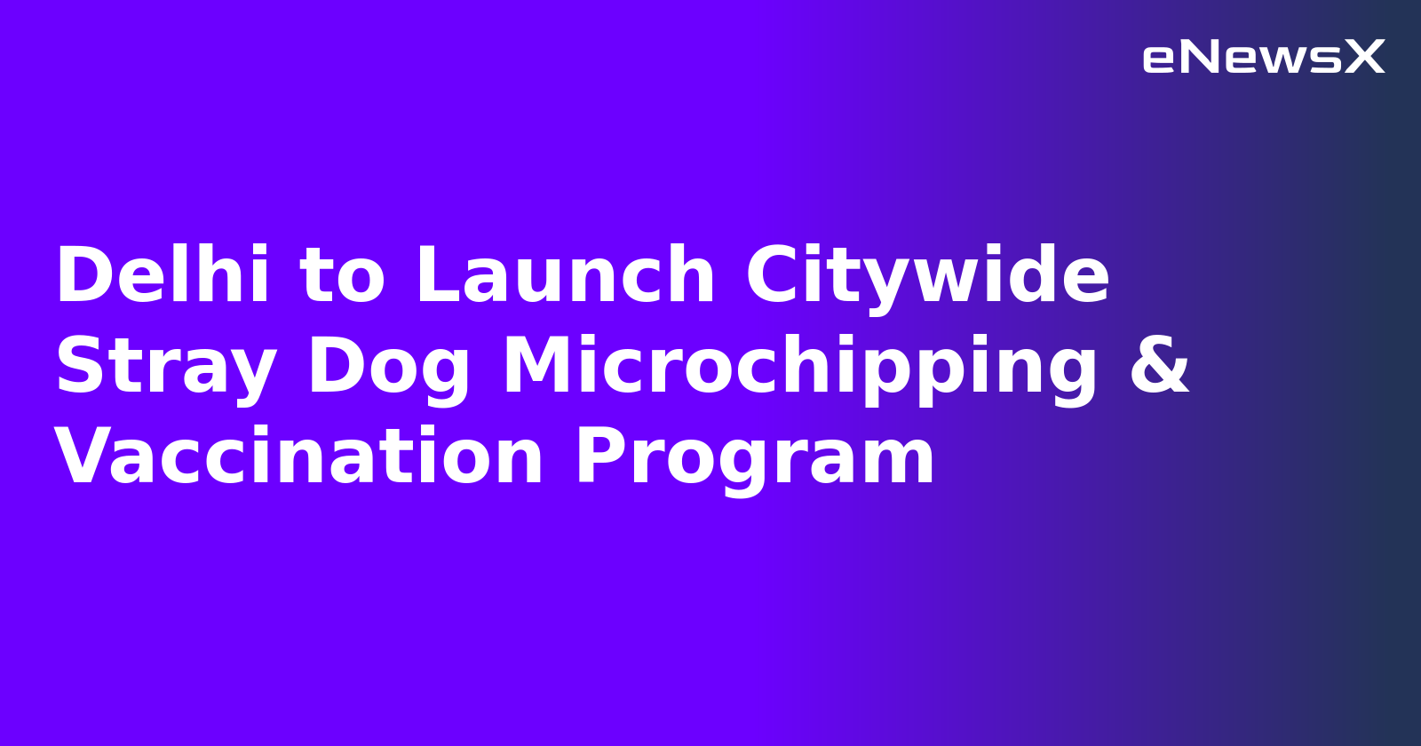 Delhi to Launch Citywide Stray Dog Microchipping & Vaccination Program