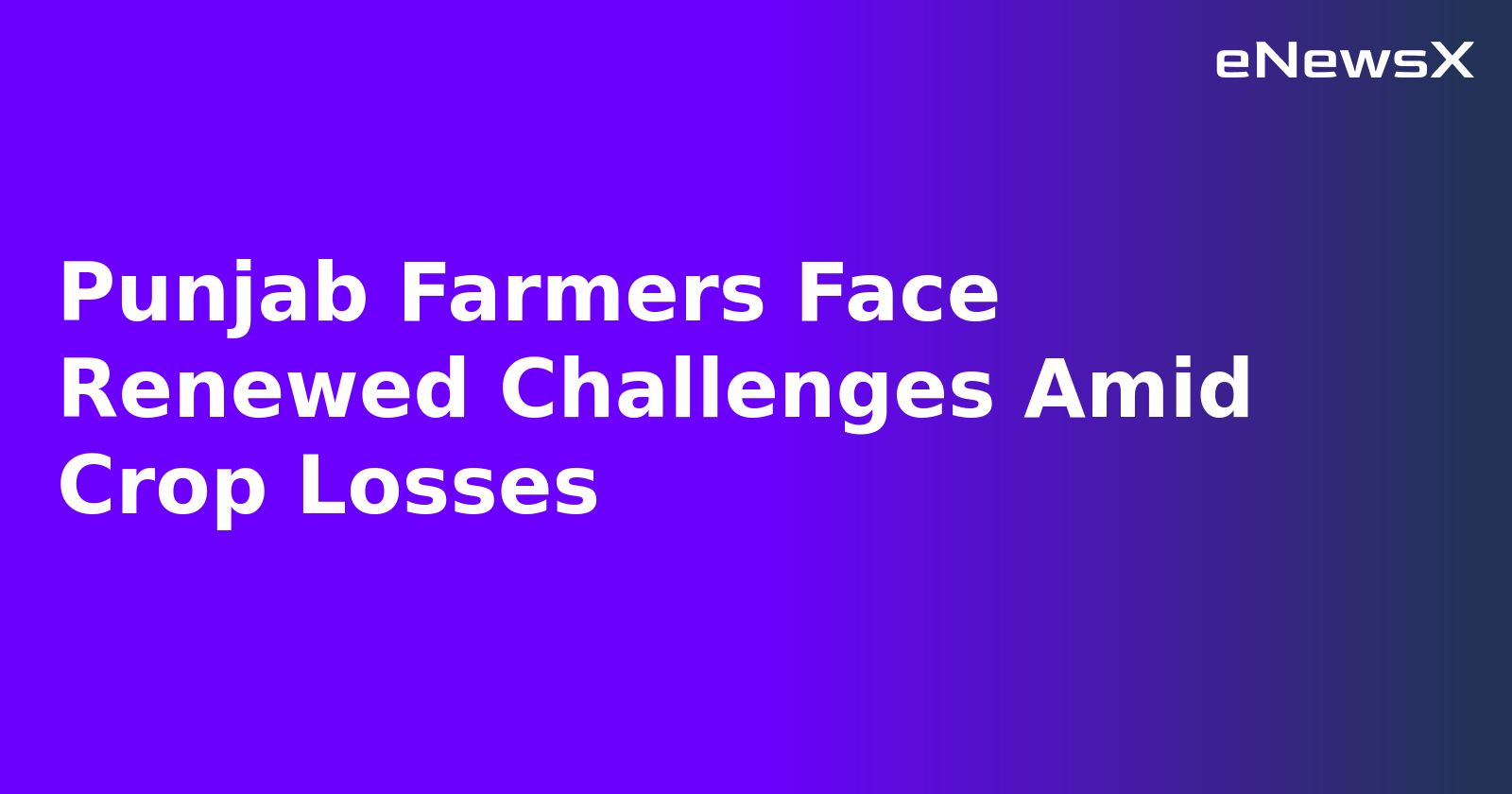 Punjab Farmers Face Renewed Challenges Amid Crop Losses