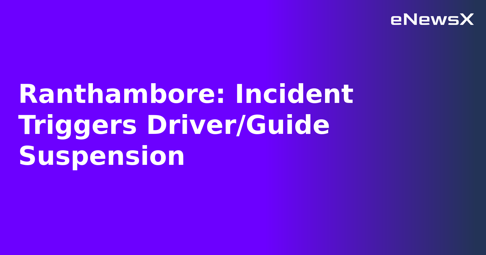 Guide Suspension.webp