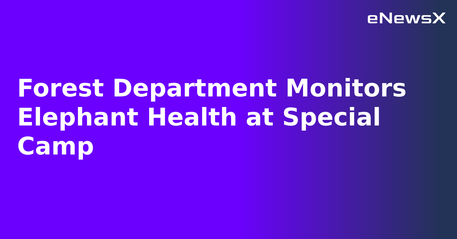 Forest Department Monitors Elephant Health at Special Camp.webp Forest Department Monitors Elephant Health at Special Camp.webp