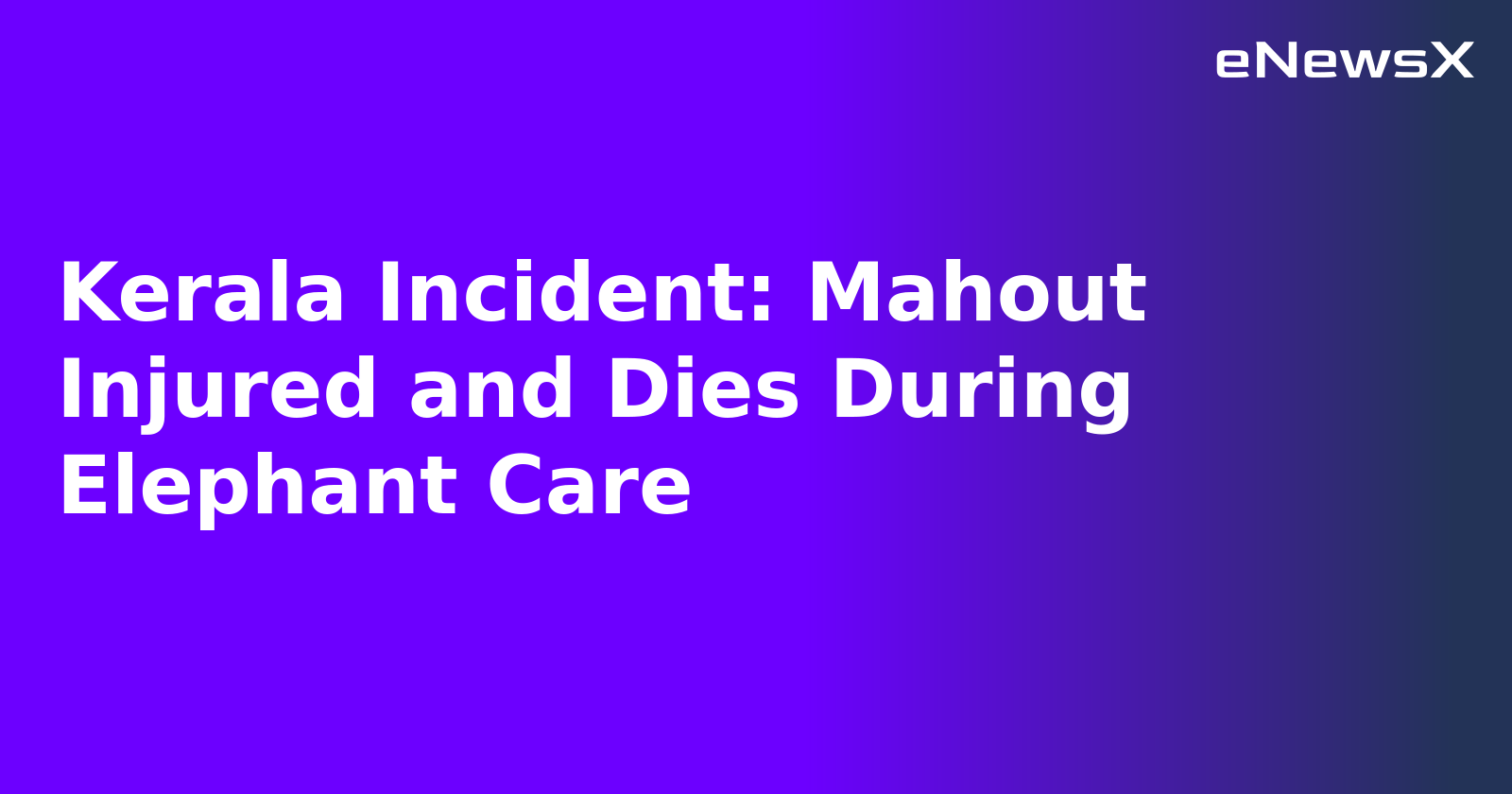 Kerala Incident: Mahout Injured and Dies During Elephant Care.webp Kerala Incident: Mahout Injured and Dies During Elephant Care.webp