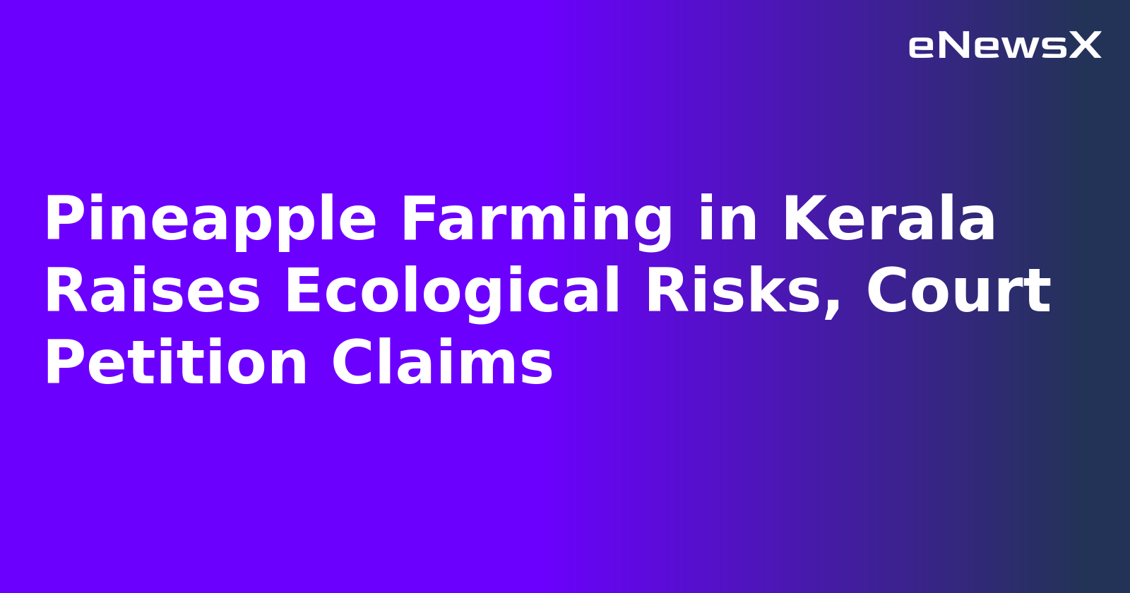 Pineapple Farming in Kerala Raises Ecological Risks, Court Petition Claims.webp