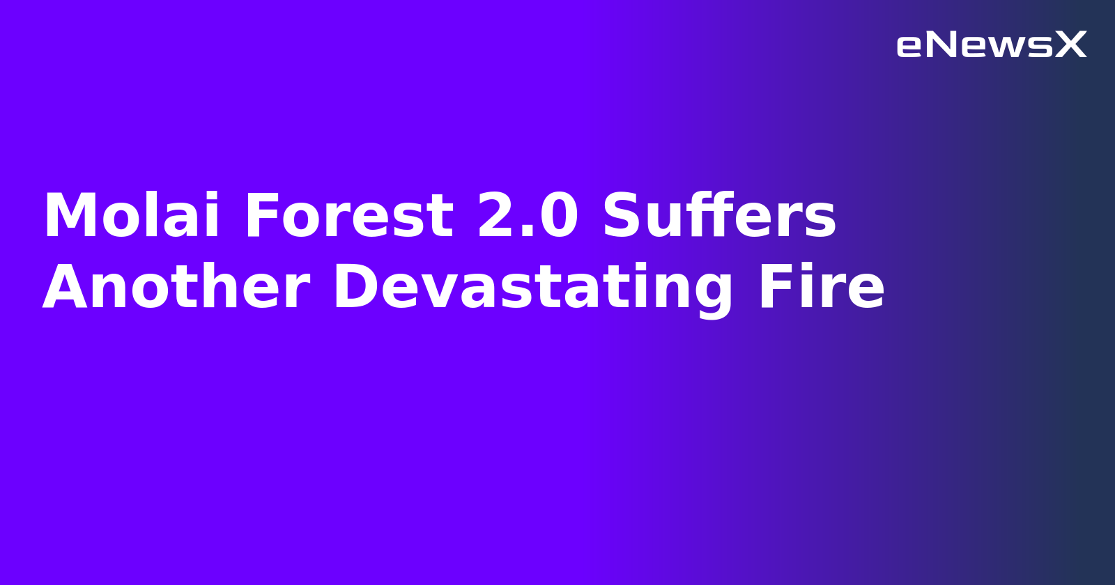 Molai Forest 2.0 Suffers Another Devastating Fire.webp Molai Forest 2.0 Suffers Another Devastating Fire.webp