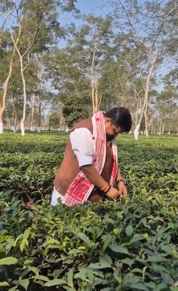 Nitin Nabin Highlights Assam's Culture and Tea Industry.webp
