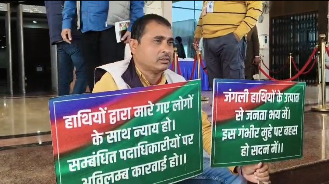 Elephant Attacks Spark Debate in Jharkhand Assembly.webp