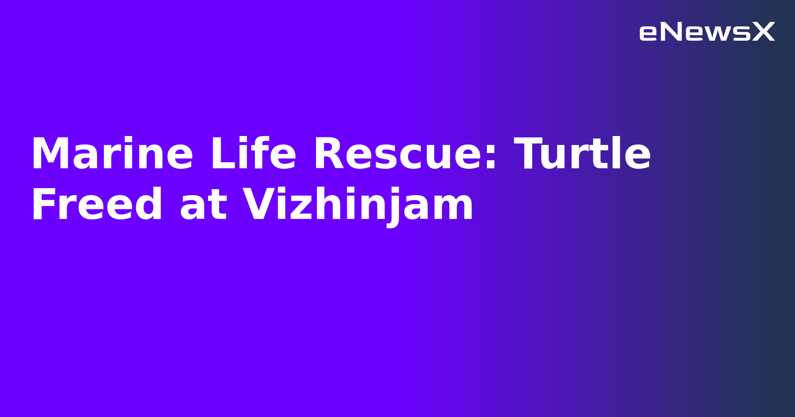 Marine Life Rescue: Turtle Freed at Vizhinjam.webp