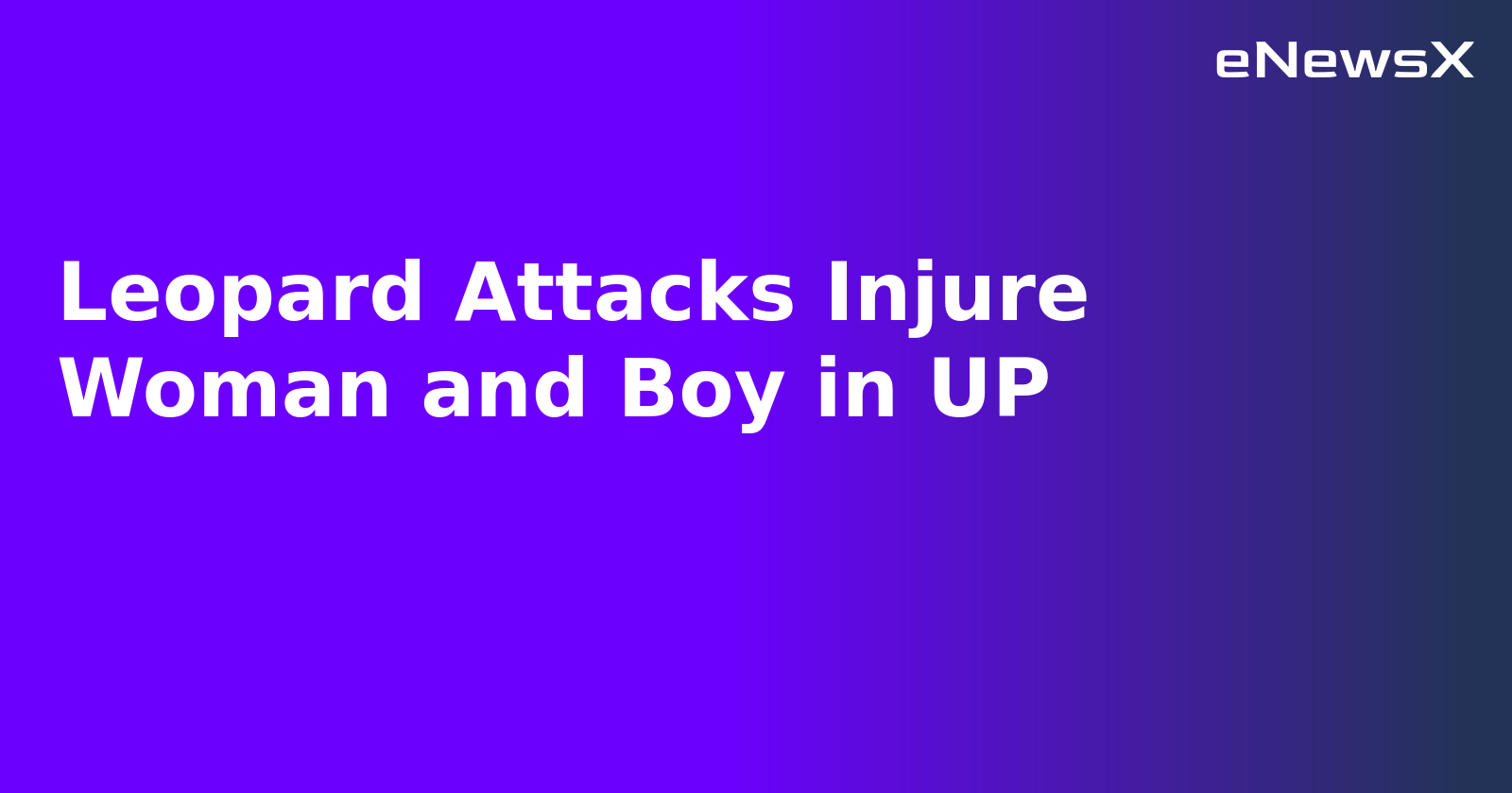 Leopard Attacks Injure Woman and Boy in UP.webp