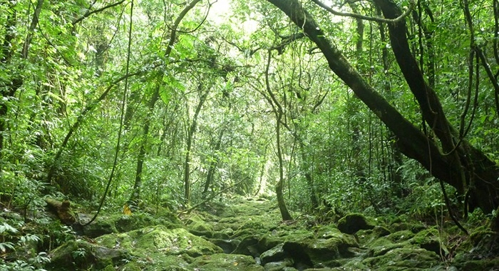 Security Operation Targets Underground Maoist Base.webp