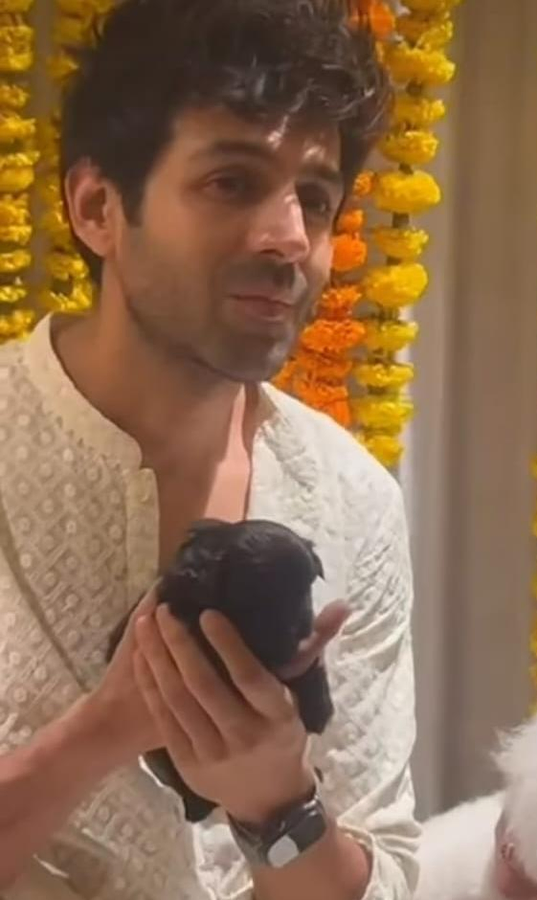 Kartik Aaryan and Bollywood Stars Celebrate National Pet Day.webp