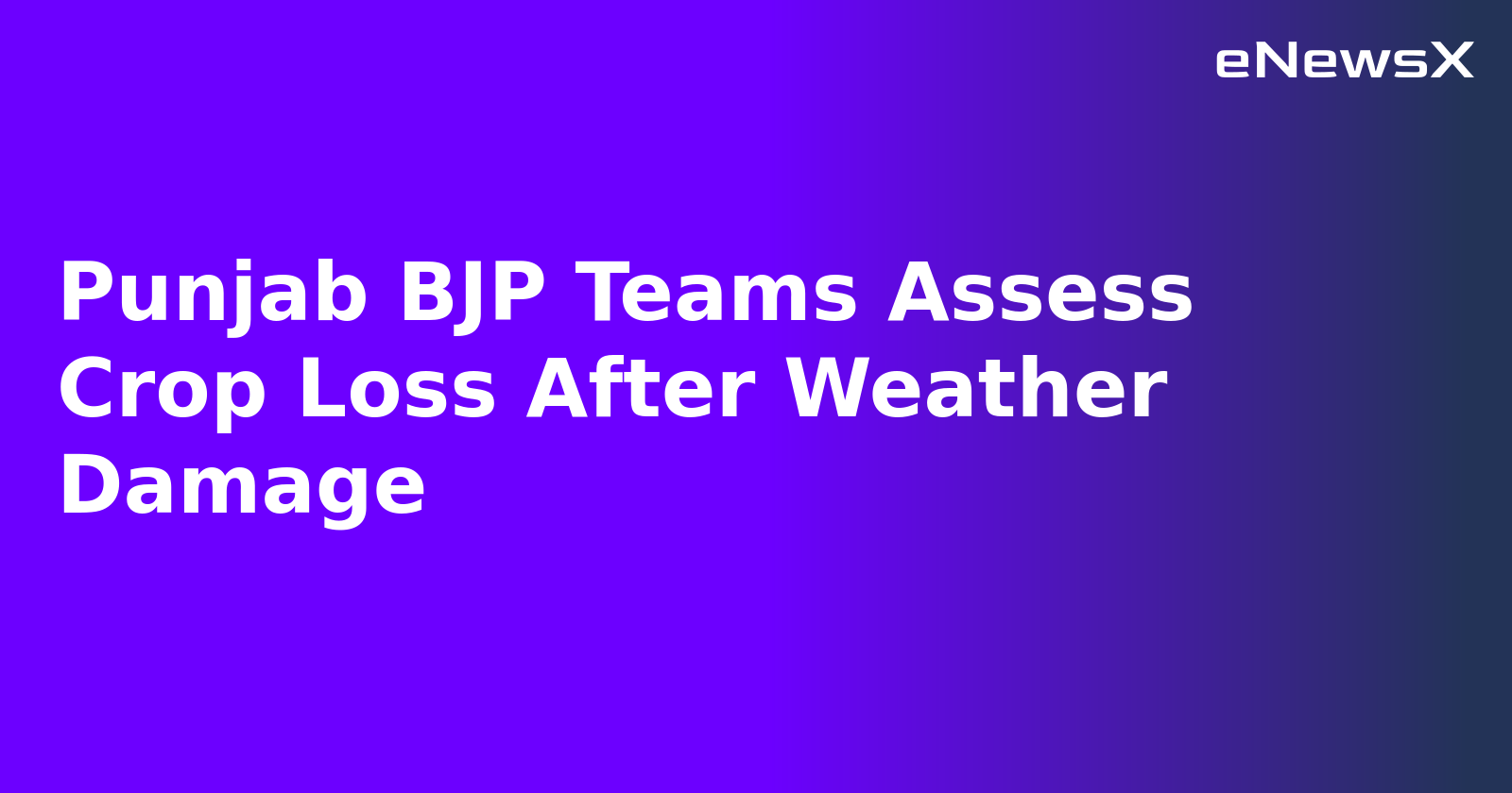 Punjab BJP Teams Assess Crop Loss After Weather Damage.webp