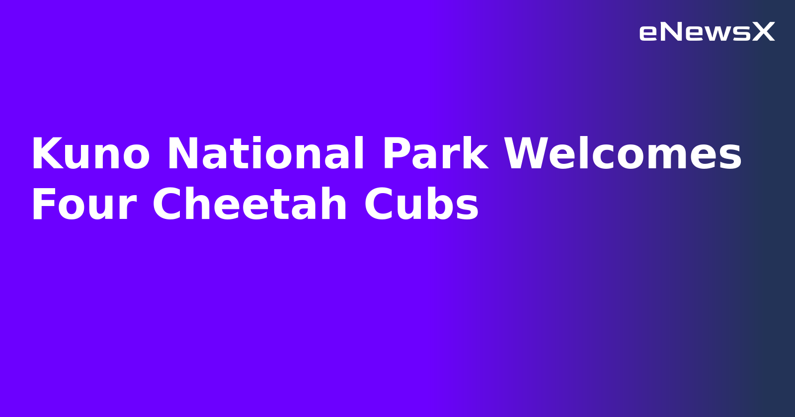 Kuno National Park Welcomes Four Cheetah Cubs.webp