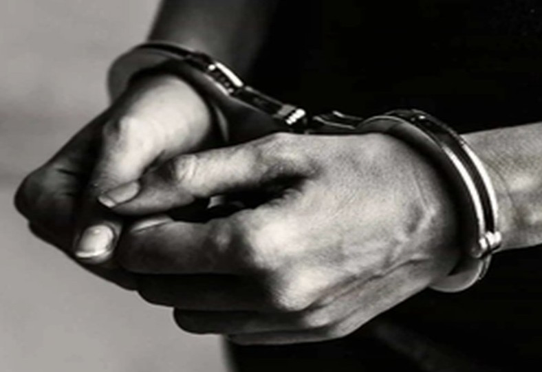 DGGI Targets Online Gaming Syndicate with Arrests and Financial Action.webp