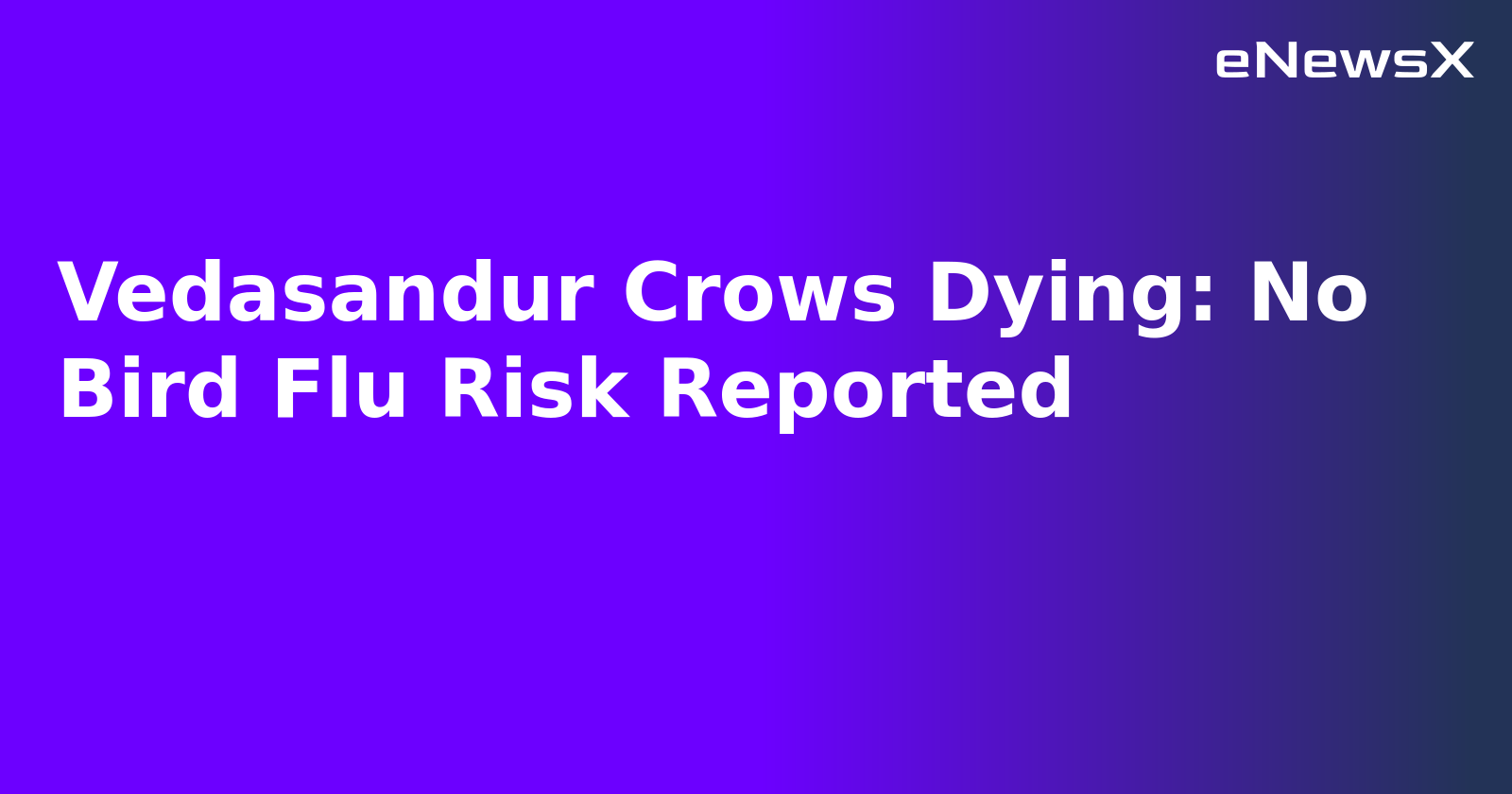 Vedasandur Crows Dying: No Bird Flu Risk Reported