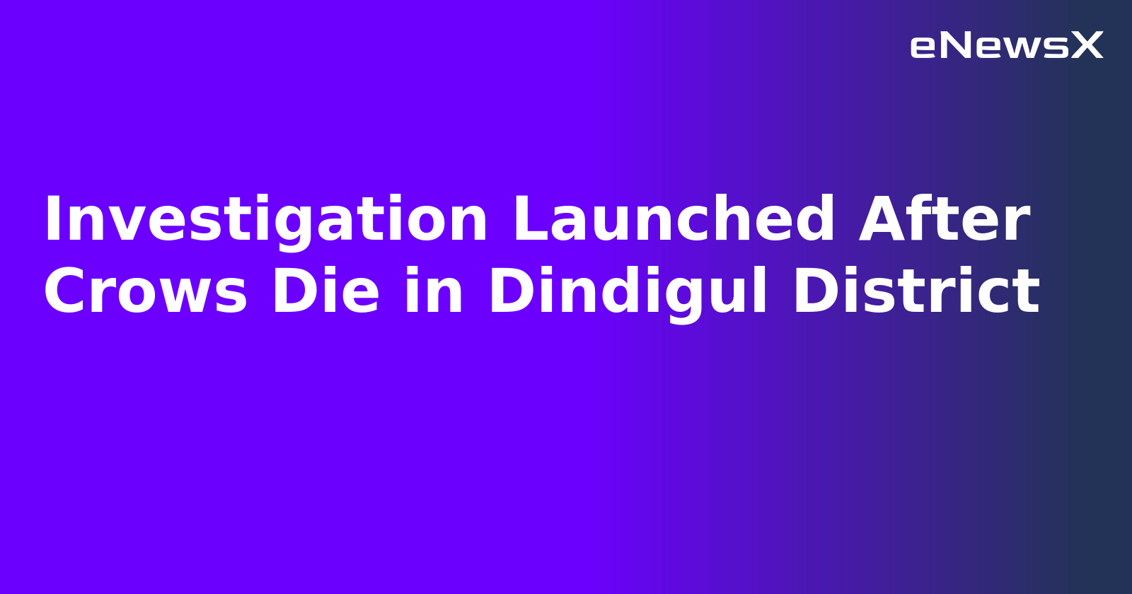 Investigation Launched After Crows Die in Dindigul District.webp