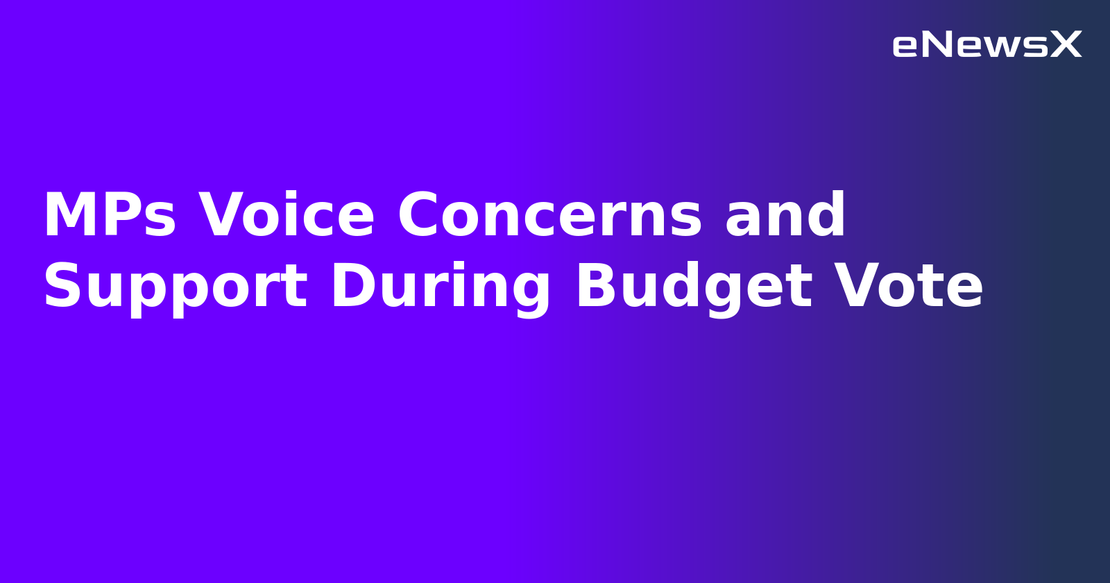 MPs Voice Concerns and Support During Budget Vote