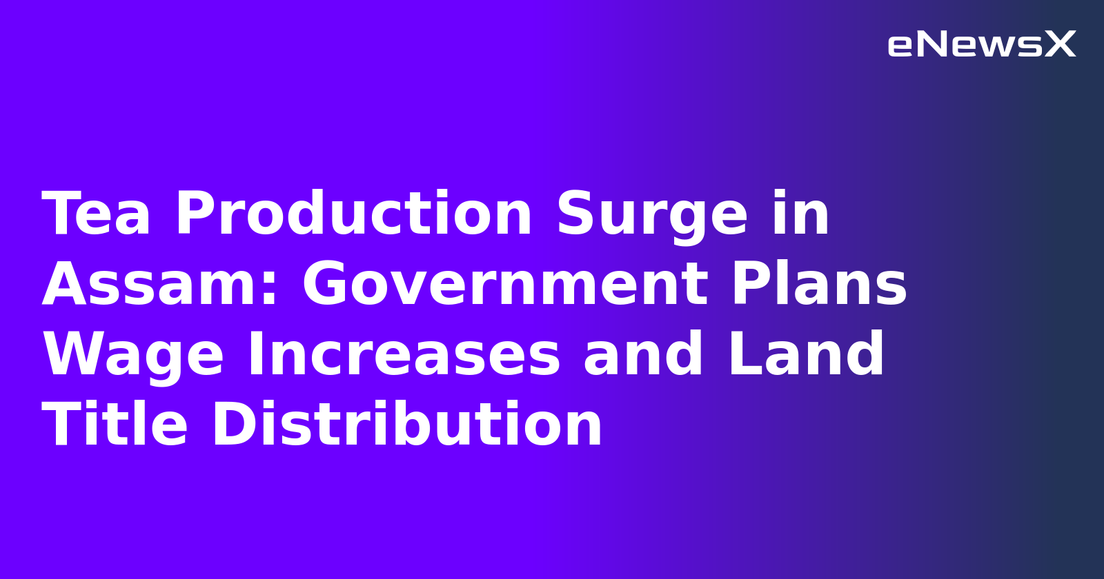 Tea Production Surge in Assam: Government Plans Wage Increases and Land Title Distribution.webp