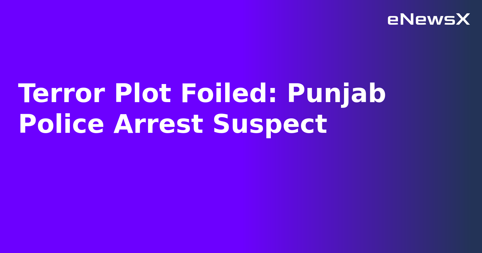 Terror Plot Foiled: Punjab Police Arrest Suspect.webp