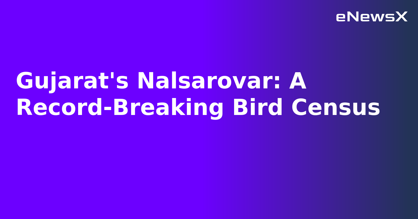 Gujarat's Nalsarovar: A Record-Breaking Bird Census.webp