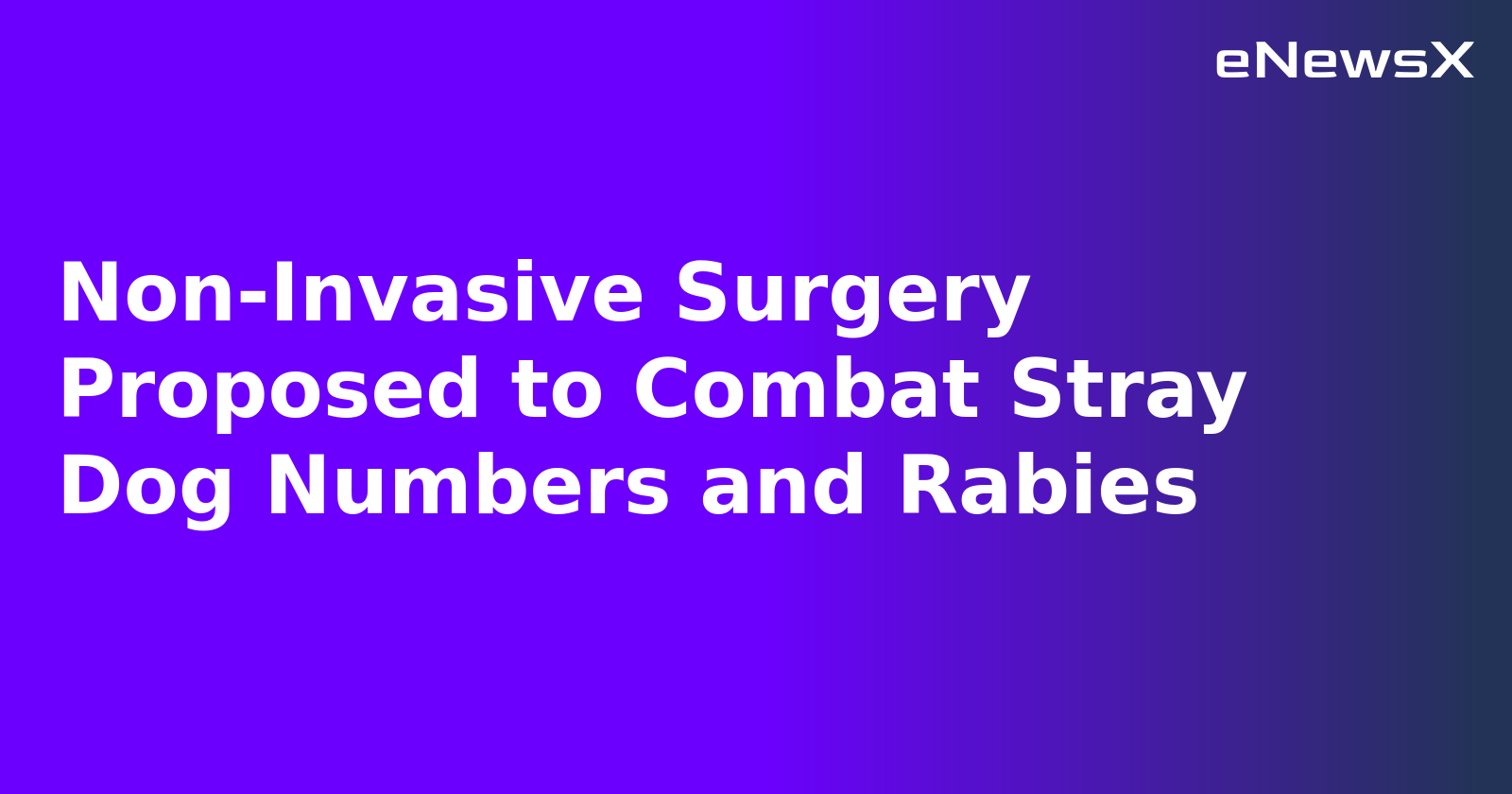 Non-Invasive Surgery Proposed to Combat Stray Dog Numbers and Rabies.webp