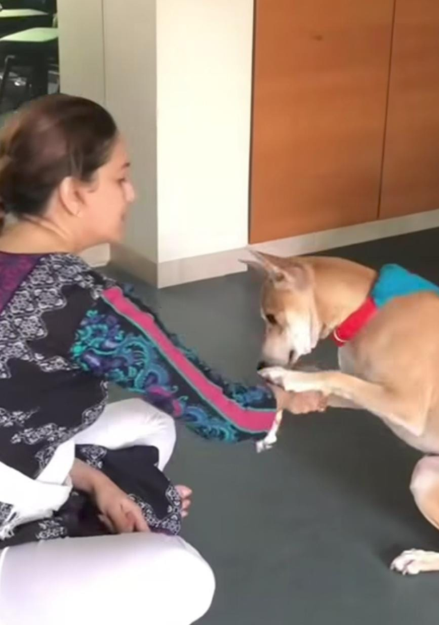 Family Fun: Madhuri Dixit's Adorable Moments with Children and Pets.webp Family Fun: Madhuri Dixit's Adorable Moments with Children and Pets.webp