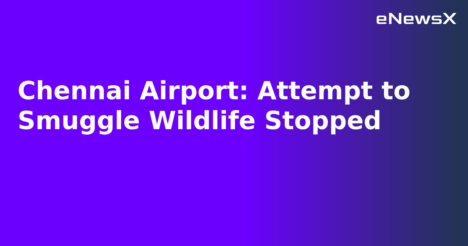Chennai Airport: Attempt to Smuggle Wildlife Stopped.webp