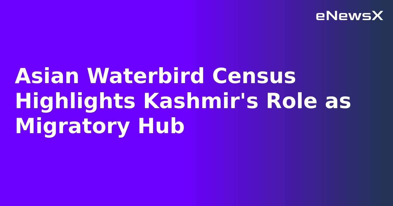 Asian Waterbird Census Highlights Kashmir's Role as Migratory Hub