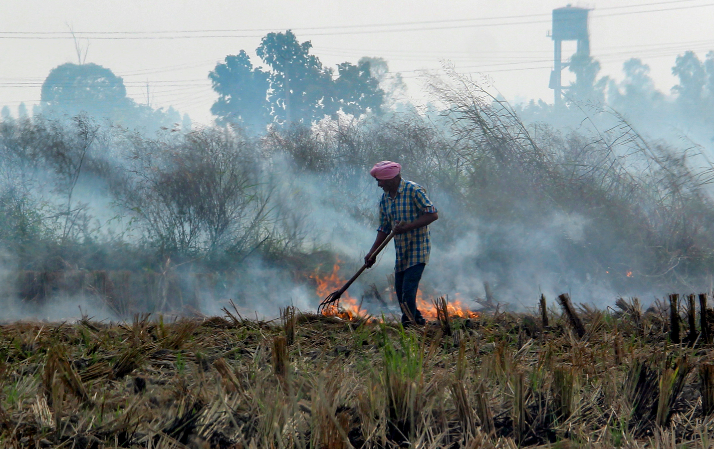 Stubble Burning Violations Lead to DBT Suspension in Bihar.webp