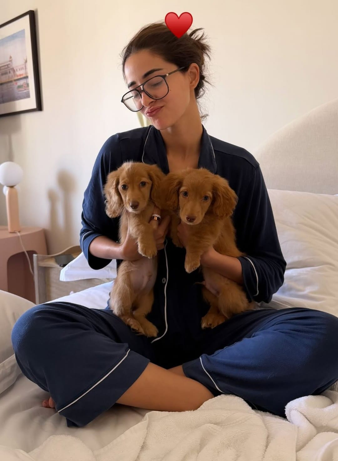 Meet Honey & Thumper: Ananya Panday's New Furry Friends.webp
