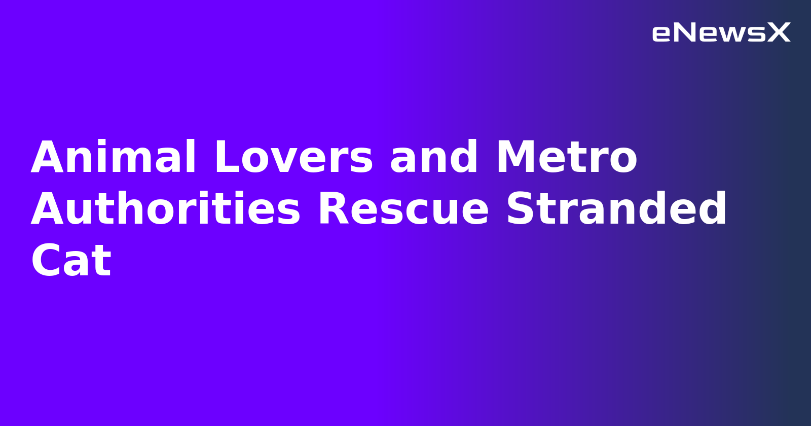 Animal Lovers and Metro Authorities Rescue Stranded Cat.webp